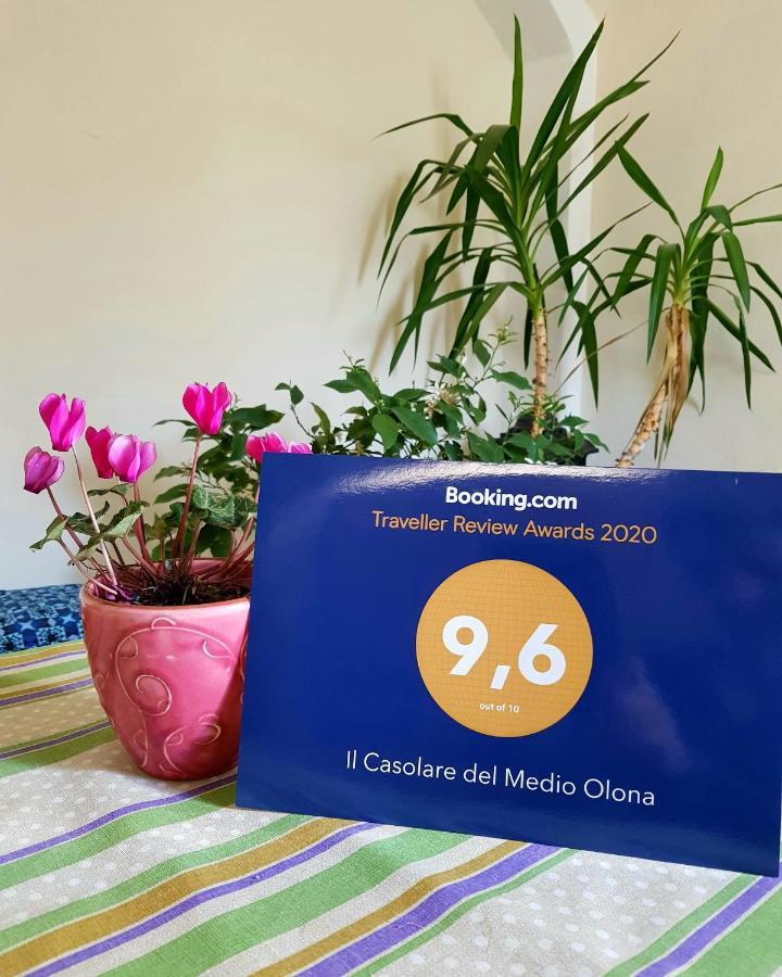 Il Casolare Del Medio Olona Bed & Breakfast Fagnano Olona Bagian luar foto