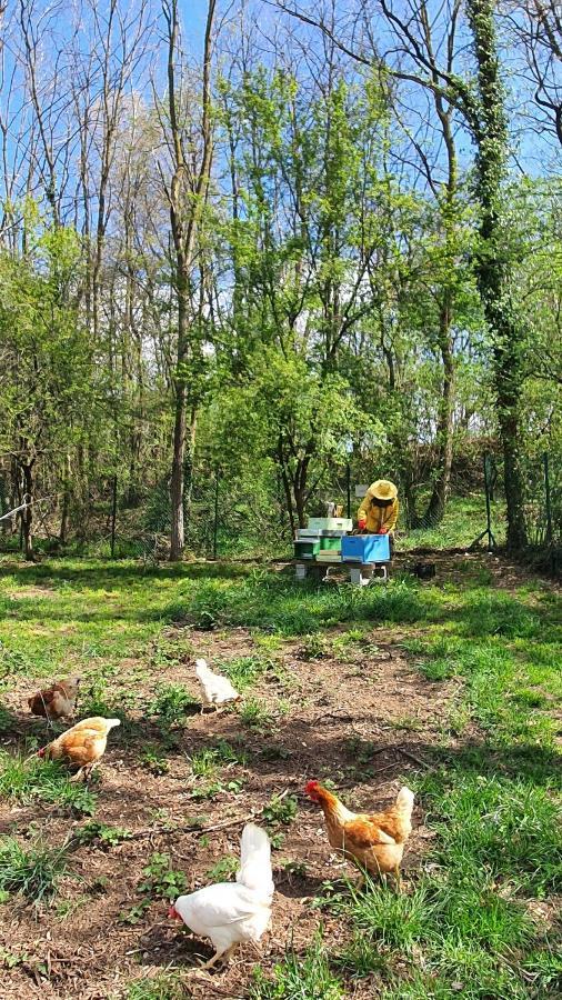Il Casolare Del Medio Olona Bed & Breakfast Fagnano Olona Bagian luar foto
