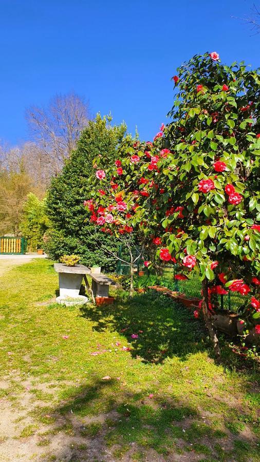 Il Casolare Del Medio Olona Bed & Breakfast Fagnano Olona Bagian luar foto