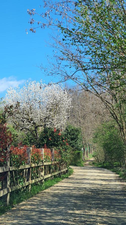 Il Casolare Del Medio Olona Bed & Breakfast Fagnano Olona Bagian luar foto